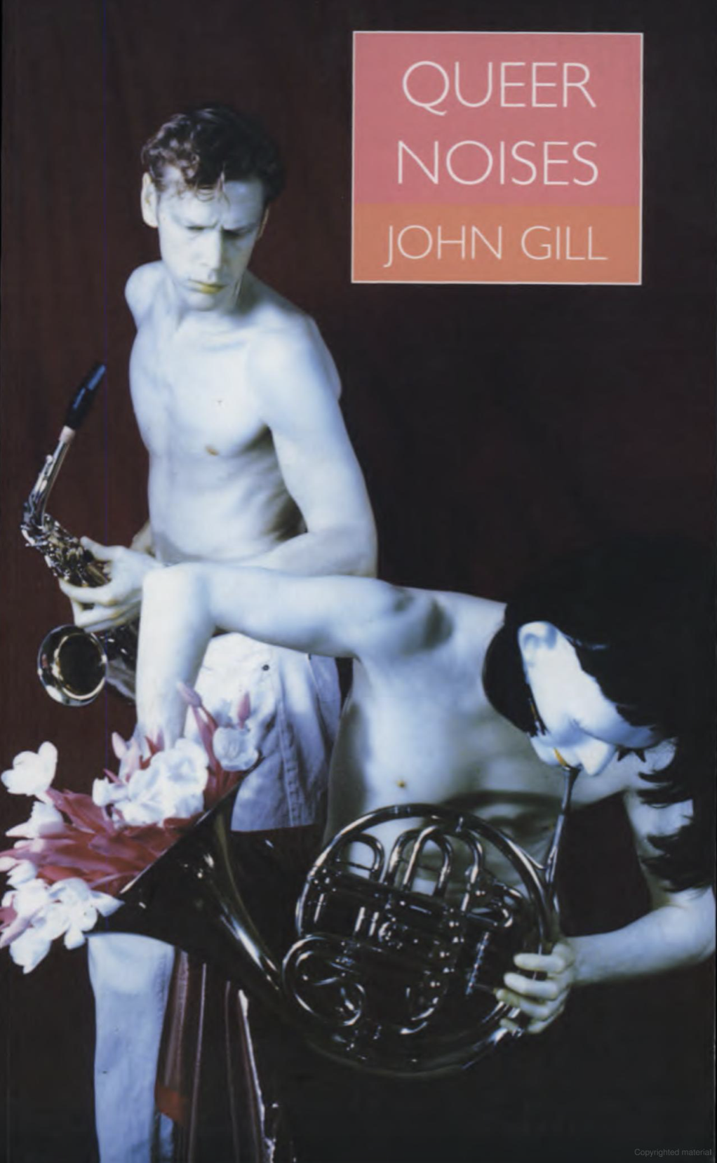 Queer Noises Book Cover