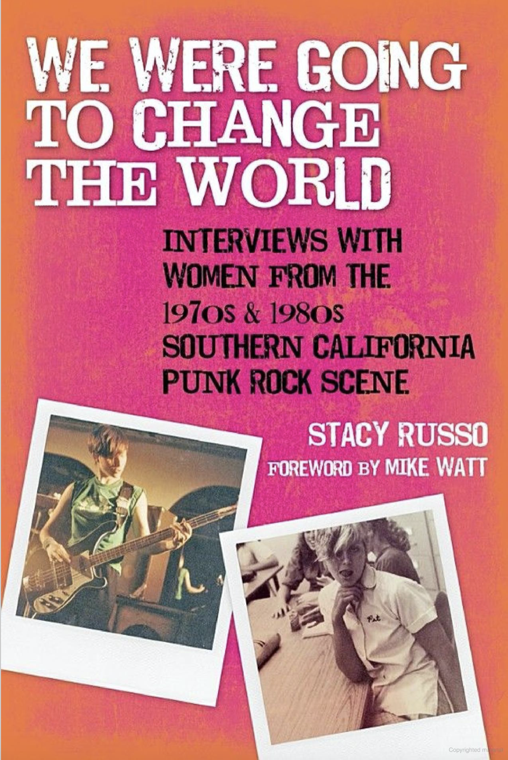 We Were Going to Change the World Book Cover