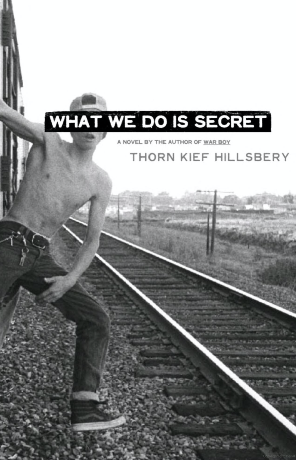 What We Do Is Secret Book Cover